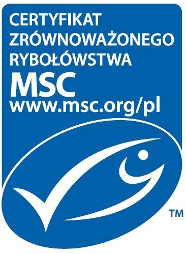 MSC LOGO pion duże