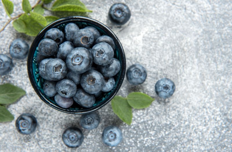 freshly picked blueberries 2021 12 09 21 43 11 utc
