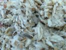 Zdjęcie 1: Wysłodki buraczane mokre, wapno defekacyjne cukrownia Krasnystaw kampania 2014