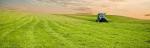 Zdjęcie 2: Mieszanka Pastwiskowa na tereny suche 10kg Trawy Nasiona Traw
