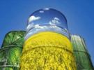 Zdjęcie 1:  Ukraina. Olej rzepakowy 2,3 zl/litr + nasiona, sloma, biomasa, tluszcze roslinne. Oferujemy w znacznych ilosciach 36tys.ton/rocznie nierafinowany, zimnotloczony olej z rzepaku CDRO 254ppm fosforu. Wy