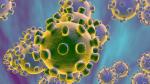Zdjęcie 1: Ozonowanie - dezynfekcja ozonem - zwalczamy wirusy i bakterie
