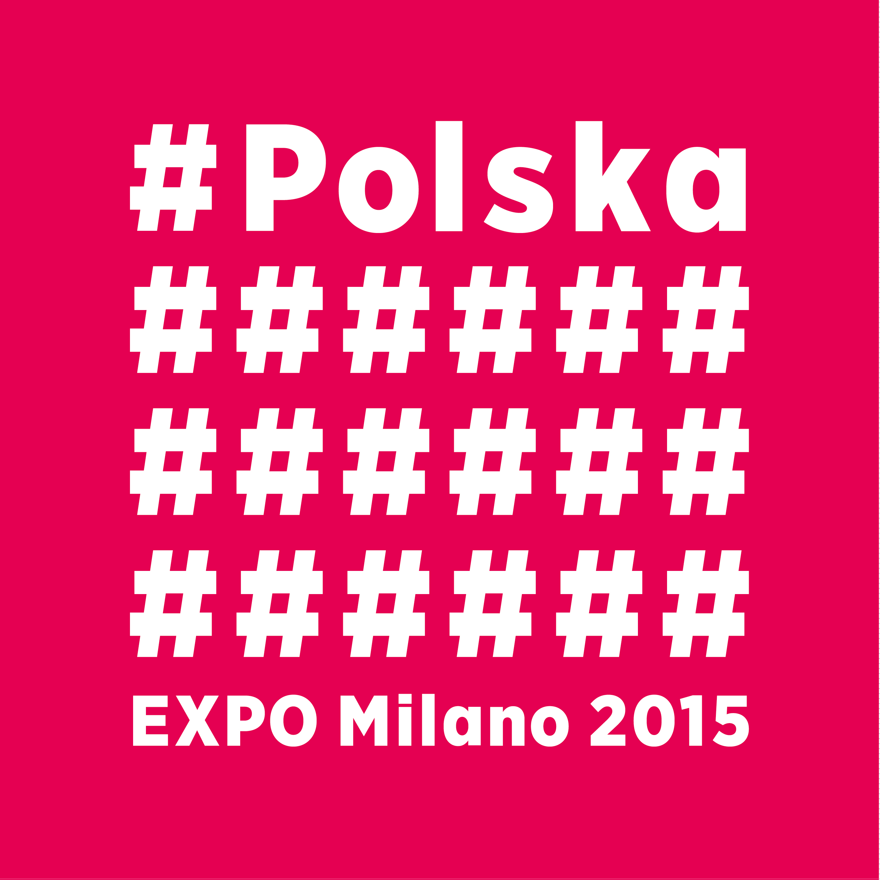 5617ad523a0b5 POLSKA EXPO logo