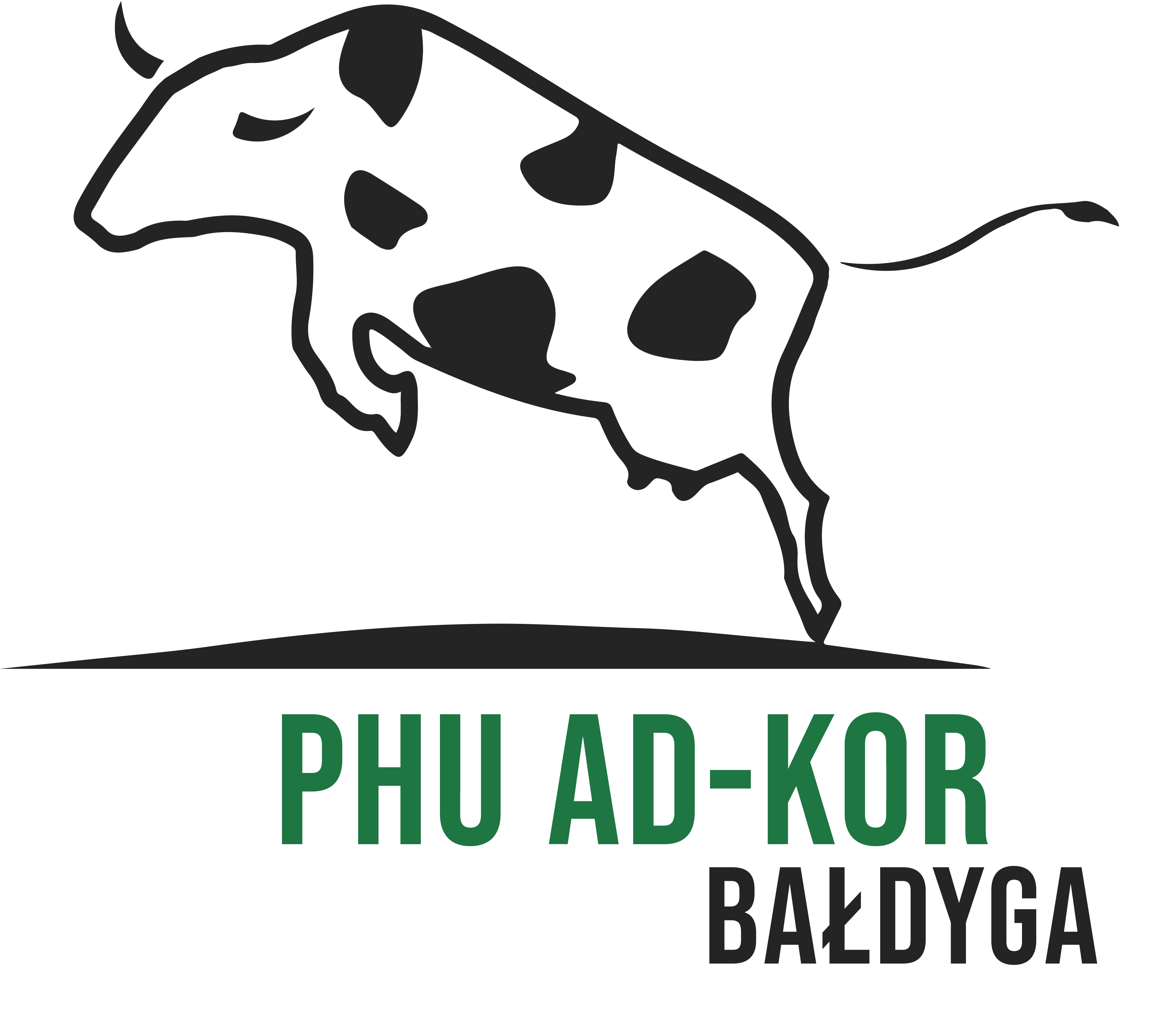Logo Dorota Bałdyga PHU AD-KOR Bałdyga