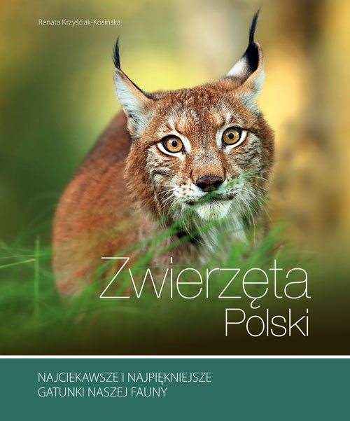 Zdjęcie główne produktu: Zwierzęta Polski