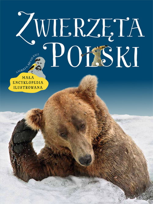 Zdjęcie główne produktu: Zwierzęta Polski. Mała encyklopedia ilustrowana