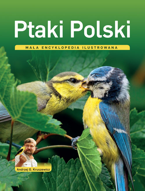 Zdjęcie główne produktu: Ptaki Polski. Mała encyklopedia ilustrowana
