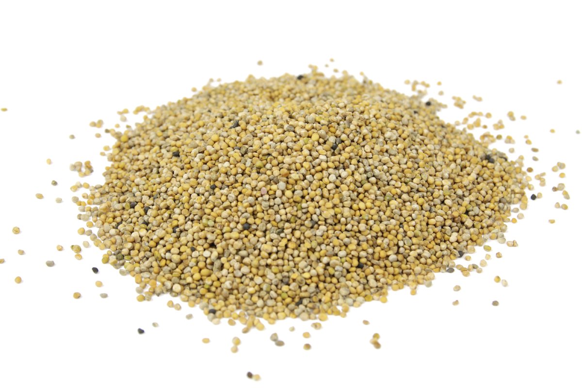 Zdjęcie główne produktu: Gorczyca żółta - nasiona na poplon ścierniskowy 25kg