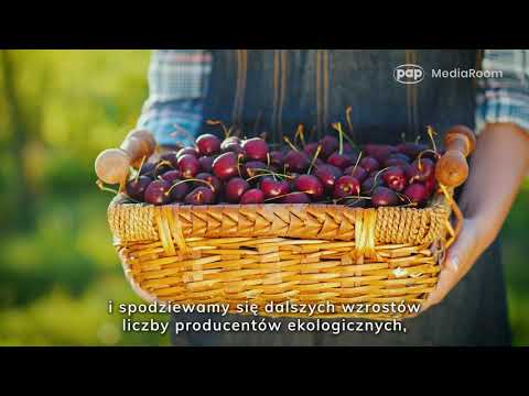 68d4270e3efb9 hqdefault